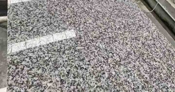 天津 芙蓉白光面