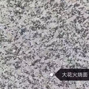 天津 芙蓉白（芝麻白大花）火烧面