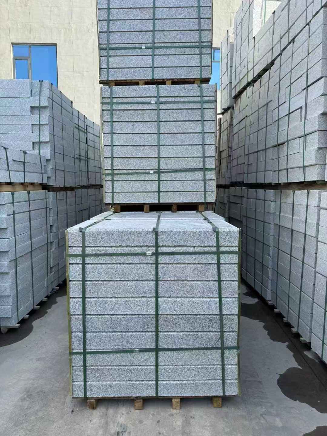 天津 公园台阶石