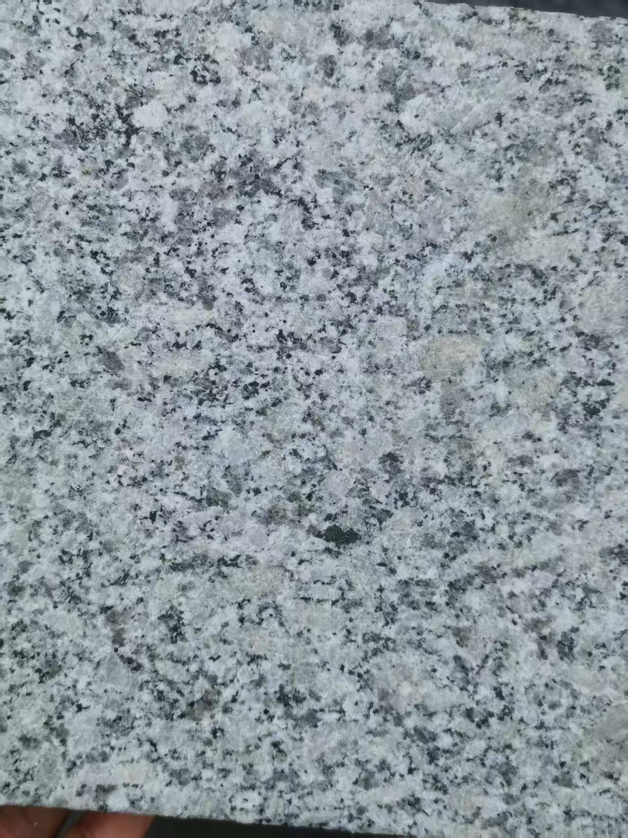 天津 芙蓉白火烧面
