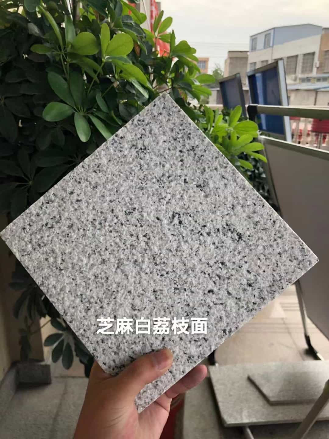 天津 芝麻白荔枝面干挂