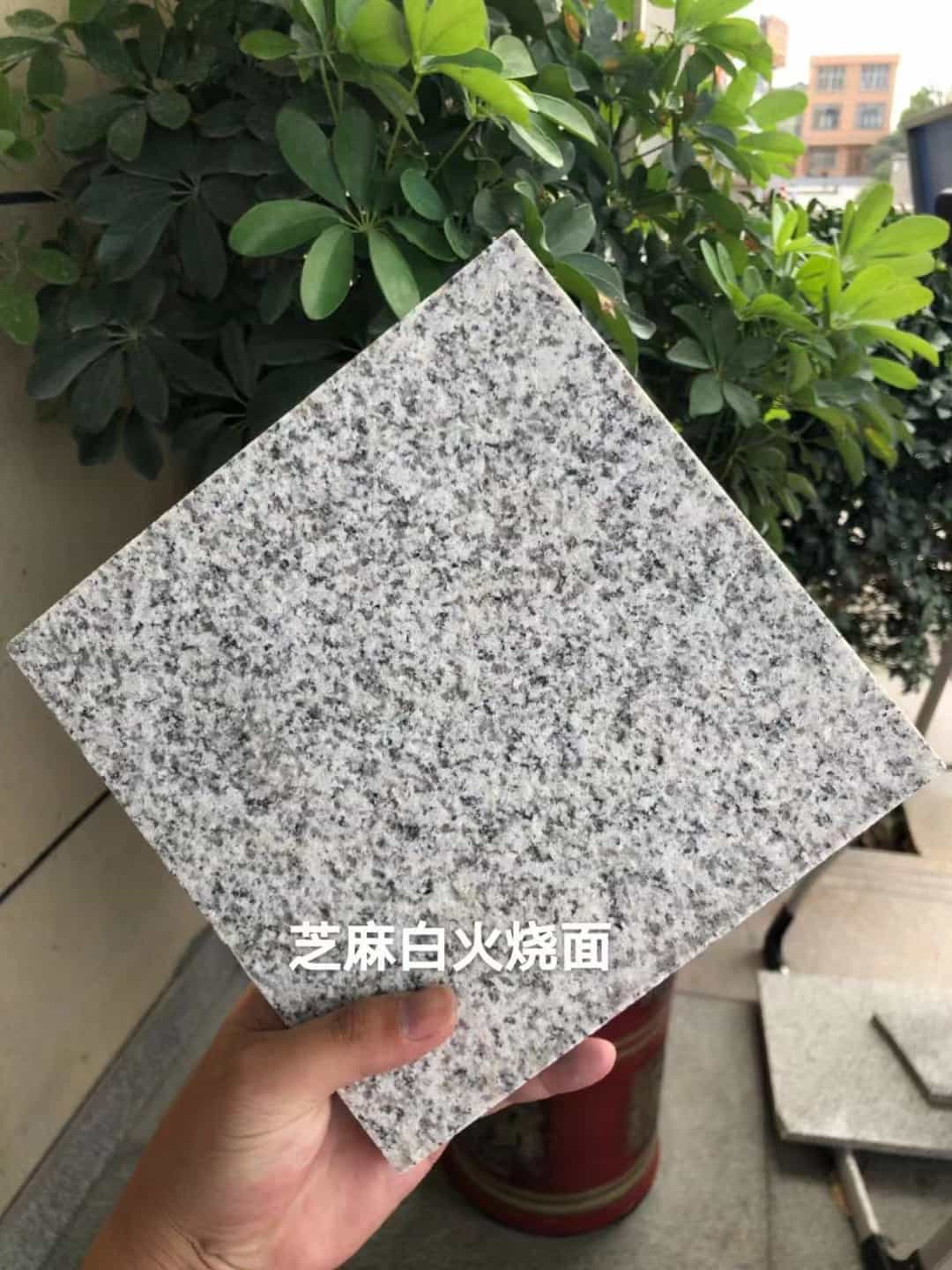 天津芝麻白火烧面地铺