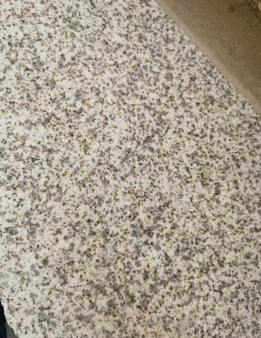 天津 黄金麻中黄光面