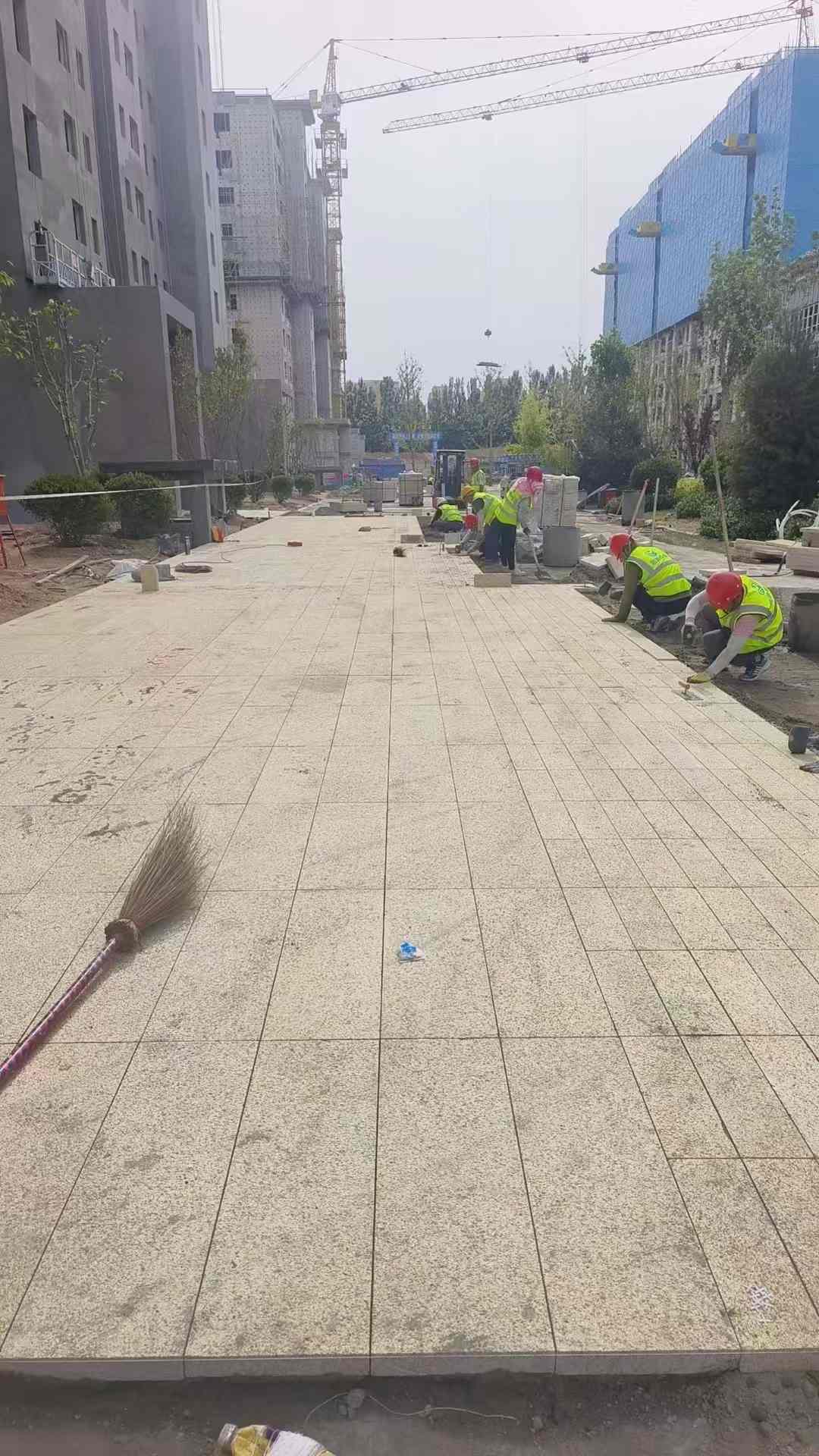 天津黄金麻荔枝面地铺案例